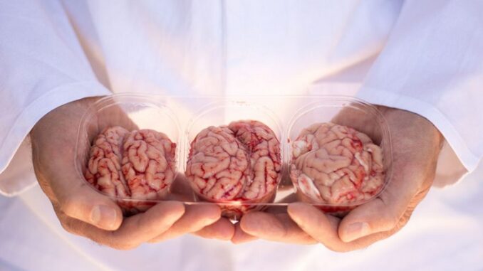 Trung Quốc đạt thành tựu y khoa đáng kinh ngạc mới
