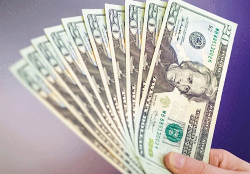 Tỷ giá USD hôm nay 14/11/2024: Tiếp tục tăng mạnh? - 1