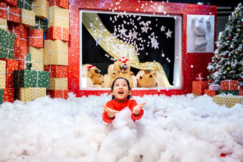 “Nhà của ông già Noel” bất ngờ xuất hiện tại khu đô thị của nhà sáng lập Ecopark - 4
