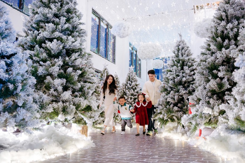 “Nhà của ông già Noel” bất ngờ xuất hiện tại khu đô thị của nhà sáng lập Ecopark - 10
