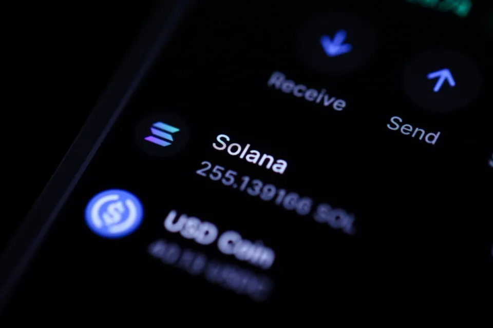 Nhà sáng lập Solana bị vợ cũ kiện đòi hàng triệu đô la lợi nhuận từ tiền điện tử - 1