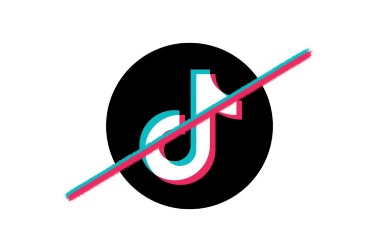 1736999503828.png