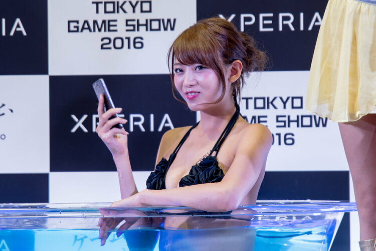 Tokyo Game Show 2016 10.jpg