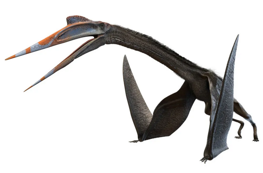 1740242323109.png