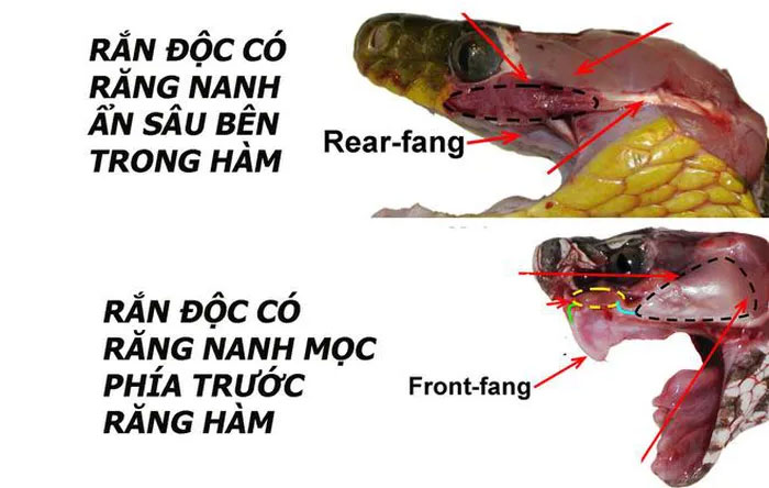 1738637514546.png