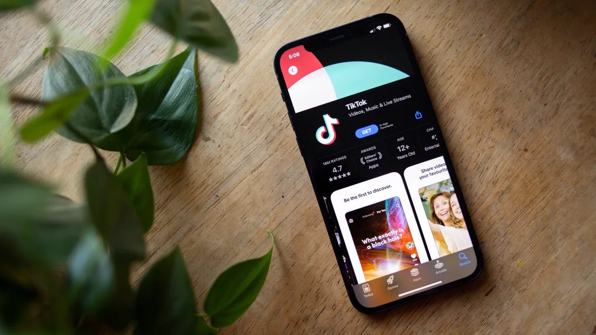 Elon Musk không có kế hoạch mua lại TikTok, nền tảng video này có giá trị bao nhiêu? - 1