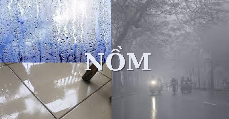 1739165892664.png