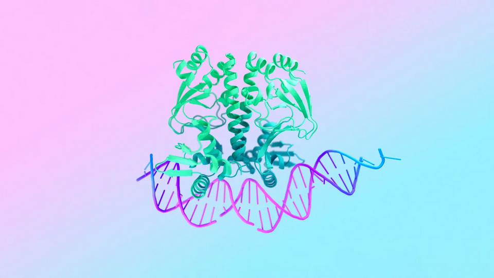 1741097441514.png
