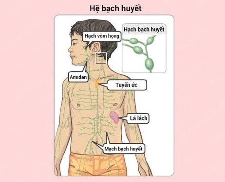 Nhi.jpg